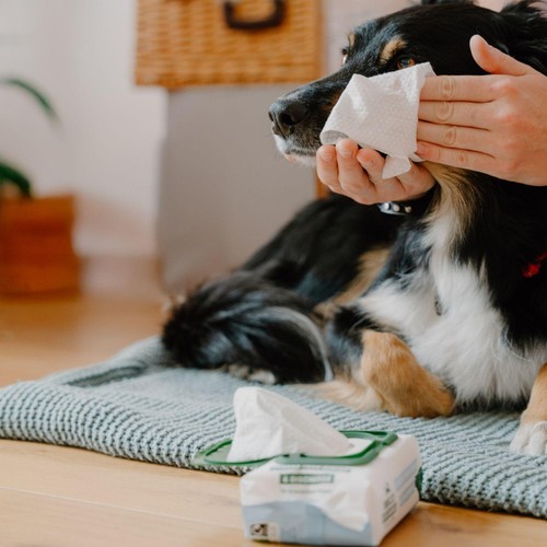 Beco Dog Eye Wipes 70 Pack thumbnail 3