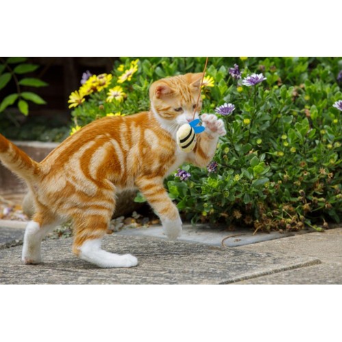 Petface Catkins Catnip Bee Teaser Cat Toy thumbnail 2