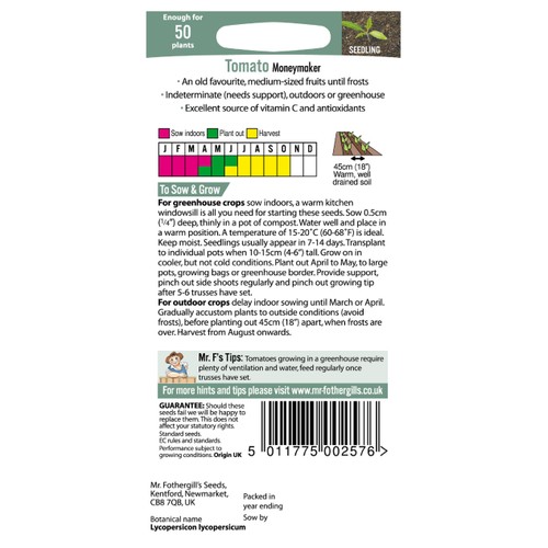 Mr Fothergill's Seeds - Tomato Moneymaker thumbnail 2