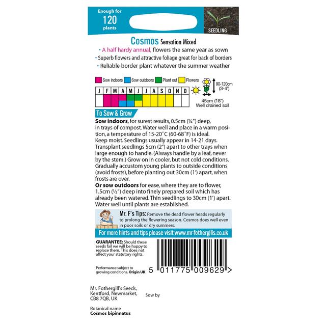 Mr Fothergill's Seeds - Cosmos Sensation Mixed thumbnail 2