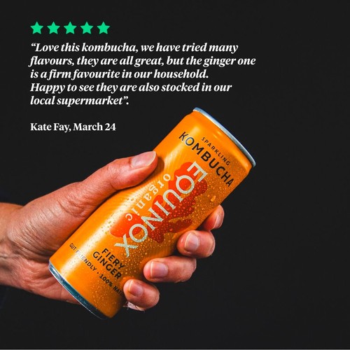 Equinox Organic Fiery Ginger Kombucha thumbnail 2