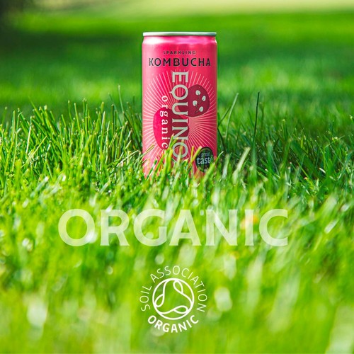 Equinox Organic Raspberry & Elderflower Kombucha thumbnail 9