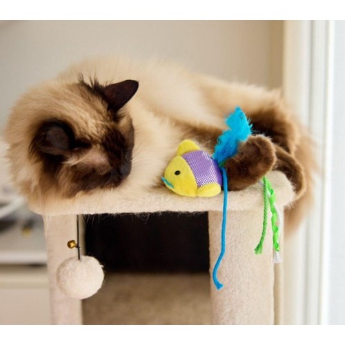 Petface Shiny Fish thumbnail 2