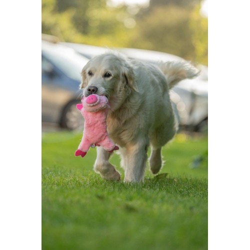 Petface Buddies Crinkle Flat Pig thumbnail 2