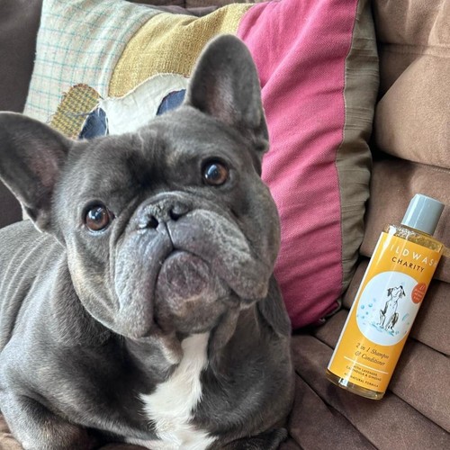 WildWash 2-in-1 Charity Dog Shampoo & Conditioner thumbnail 3