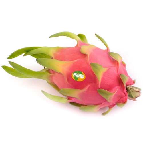 OrchardWorld Large Dragon Fruit