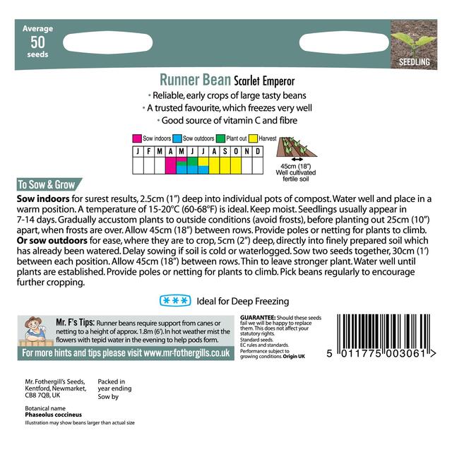 Mr Fothergill's Seeds - Runner Bean Scarlet Emperor thumbnail 2