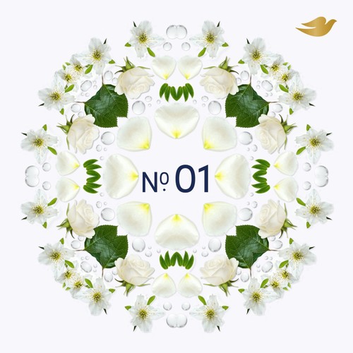 Dove No01 Original 72h Antiperspirant Deodorant Refillable Kit thumbnail 2