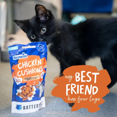 Battersea Anti-Hairball Chicken Cushions thumbnail 4