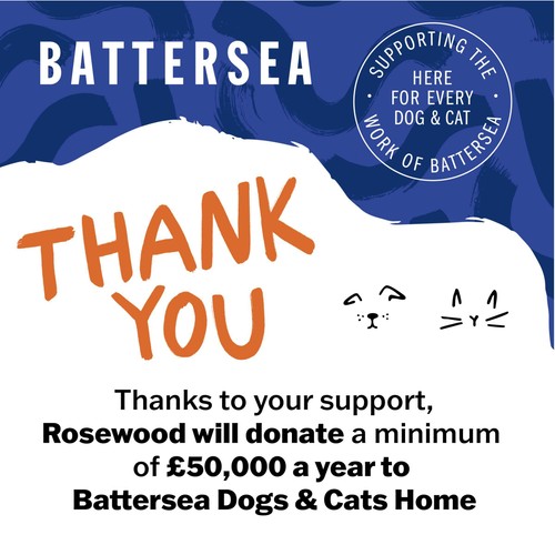 Battersea Chicken Wrapped Carrot Sticks thumbnail 8