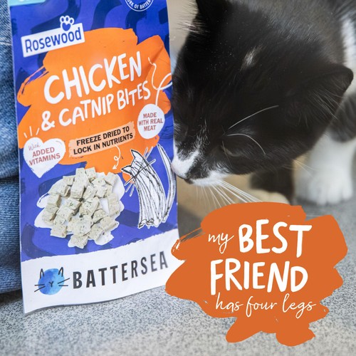 Battersea Chicken & Catnip Freeze Dried Bites thumbnail 5