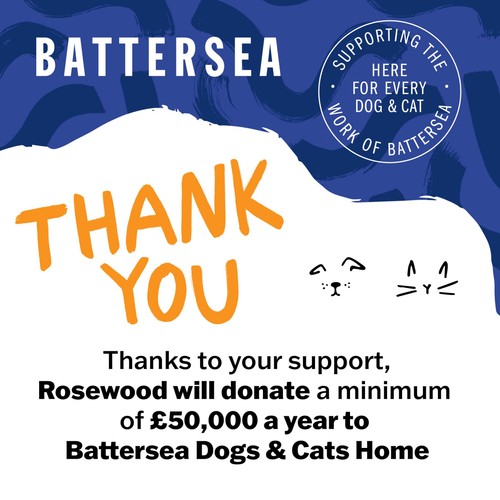 Battersea Chicken & Catnip Freeze Dried Bites thumbnail 8