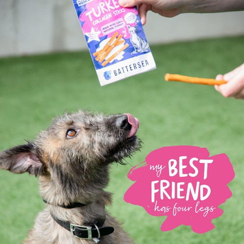 Battersea Turkey & Chicken Collagen Sticks thumbnail 4