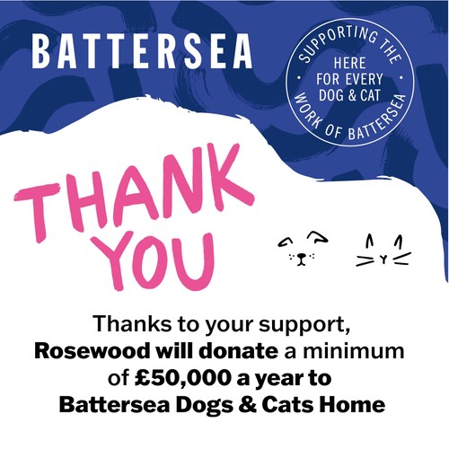 Battersea Turkey & Chicken Collagen Sticks thumbnail 8