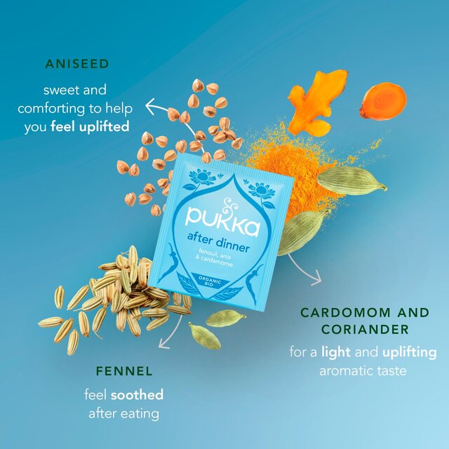 Pukka Organic After Dinner 20 Home Compostable Herbal Tea Bags 40g thumbnail 10