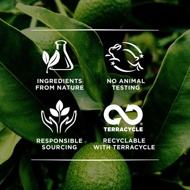 Burt's Bees Almond & Milk Hand Cream thumbnail 7