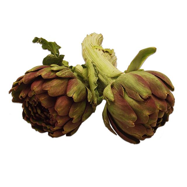 Natoora Italian Mammole Artichokes
