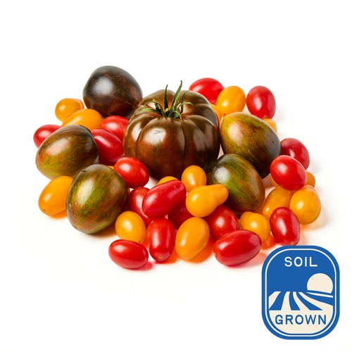 Natoora Seasonal Tomato Selection