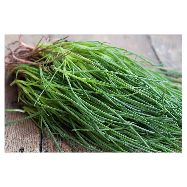Natoora Italian Monk's Beard thumbnail 2