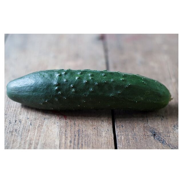 Natoora Ridge Cucumber thumbnail 2