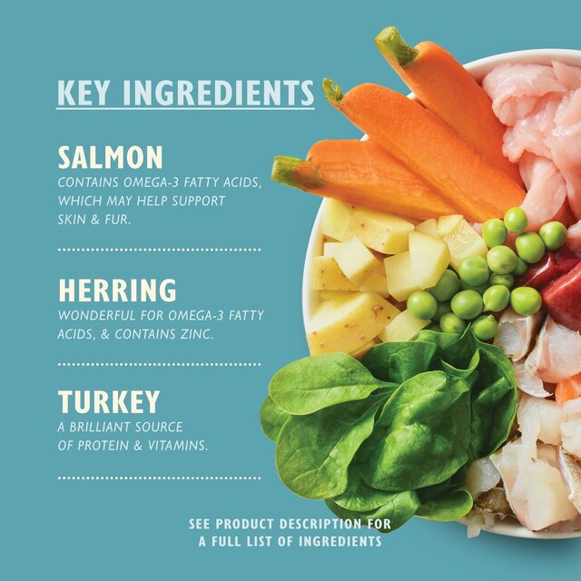 Lily's Kitchen Fishy Fish Pie with Peas for Dogs thumbnail 4