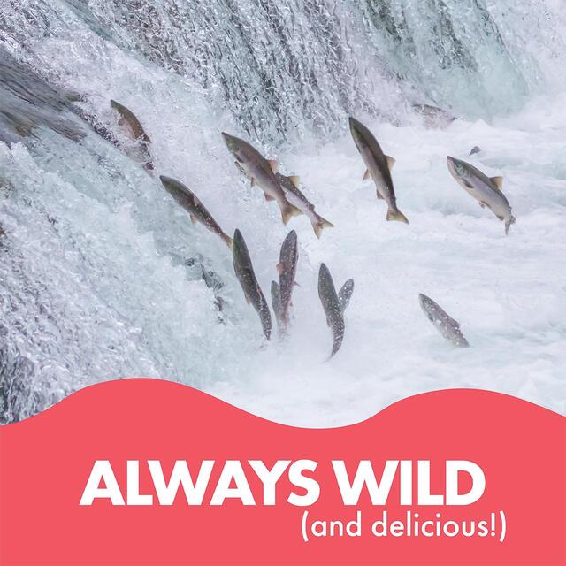 Fish 4 Ever Wild Pacific Pink Salmon thumbnail 6