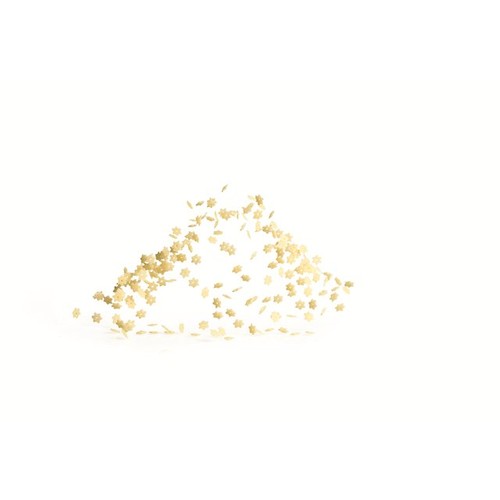 Garofalo Stelline Dry Pasta thumbnail 2