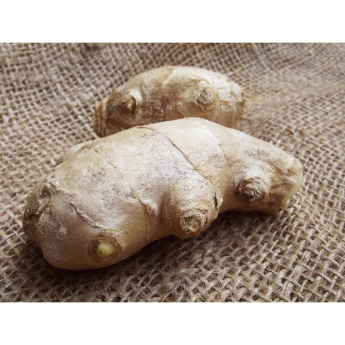 Natoora Root Ginger thumbnail 2