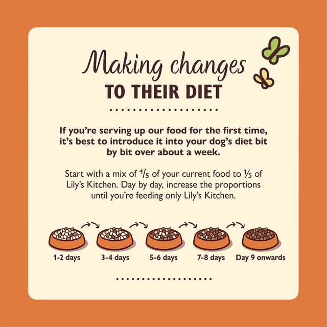 Lily's Kitchen Dog Chicken & Duck Countryside Casserole Adult Dry Food thumbnail 2