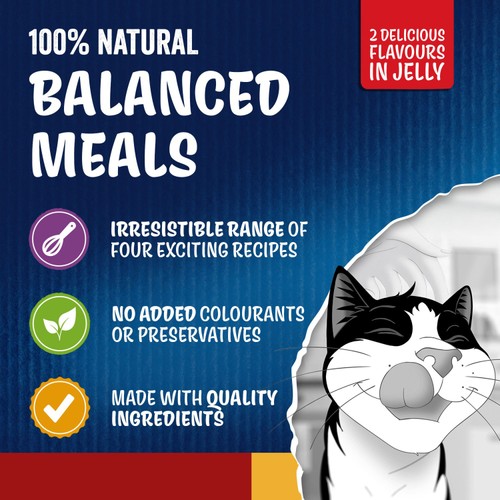 FELIX Doubly Delicious Countryside Selection in Jelly Wet Cat Food thumbnail 3