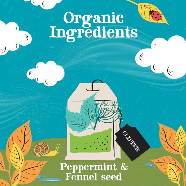 Clipper After Dinner Mints Organic Double Mint & Fennel Infusion Tea Bags thumbnail 5