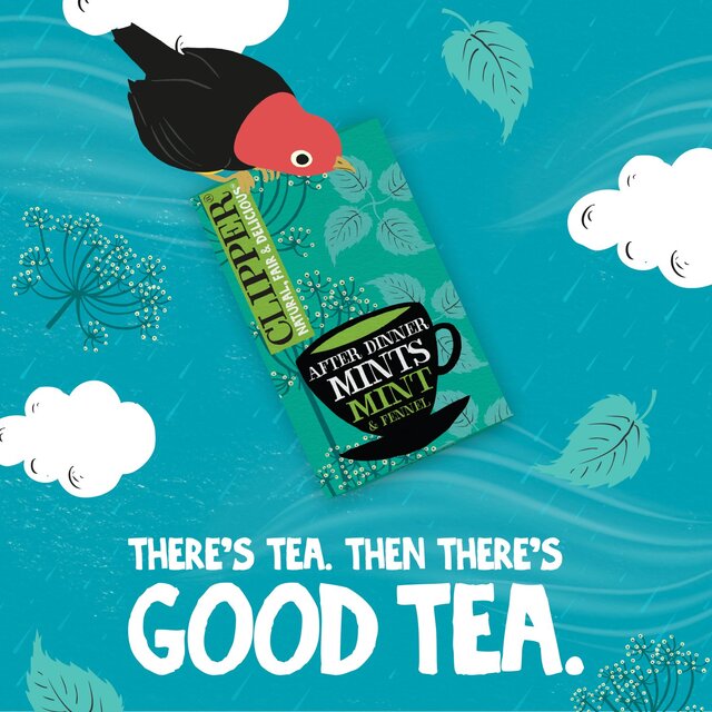 Clipper After Dinner Mints Organic Double Mint & Fennel Infusion Tea Bags thumbnail 7