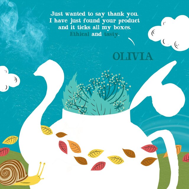 Clipper After Dinner Mints Organic Double Mint & Fennel Infusion Tea Bags thumbnail 9