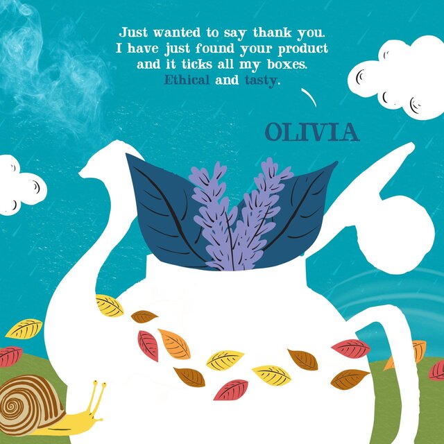 Sleep Time Organic Chamomile Lemon Balm & Lavender Tea Bags thumbnail 5