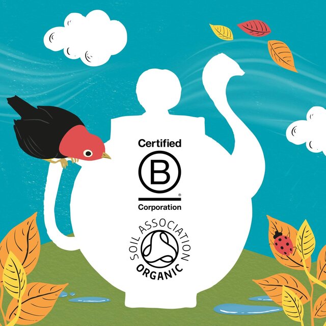 Sleep Time Organic Chamomile Lemon Balm & Lavender Tea Bags thumbnail 6