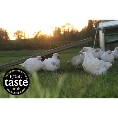 Packington Free Range Large Chicken thumbnail 6