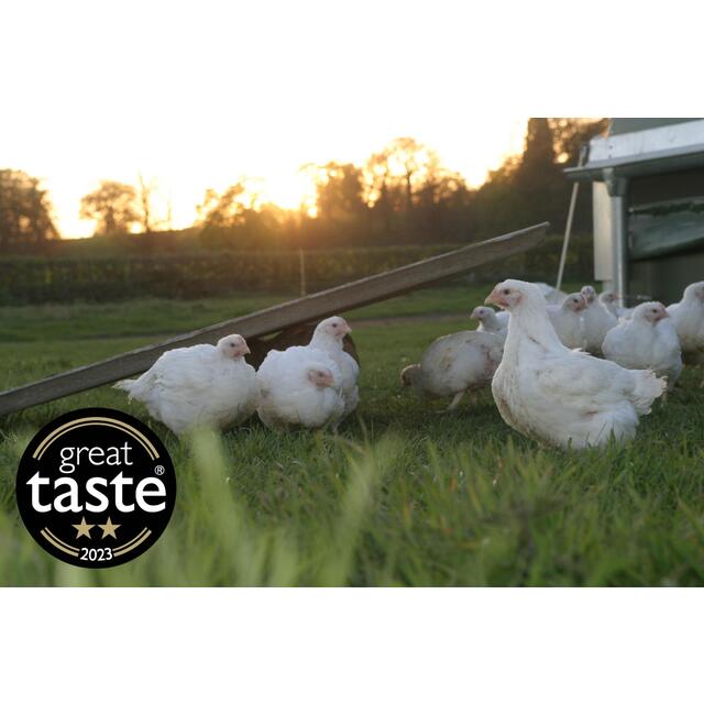 Packington Free Range Large Chicken thumbnail 6