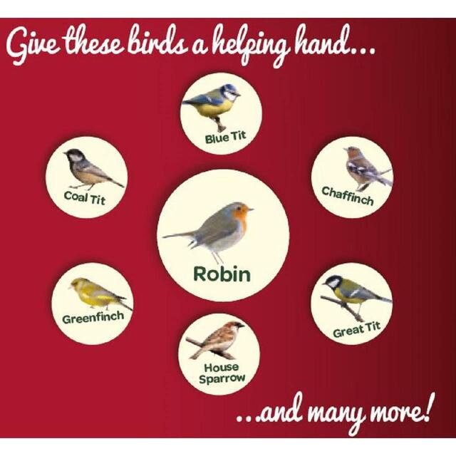 Peckish Robin Bird Seed and Insect Mix thumbnail 4