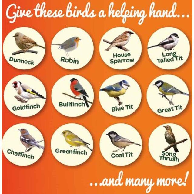 Peckish Sunflower Hearts For Wild Birds thumbnail 5