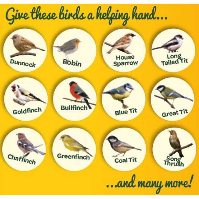 Peckish Extra Goodness Suet Nuggets For Wild Birds thumbnail 5