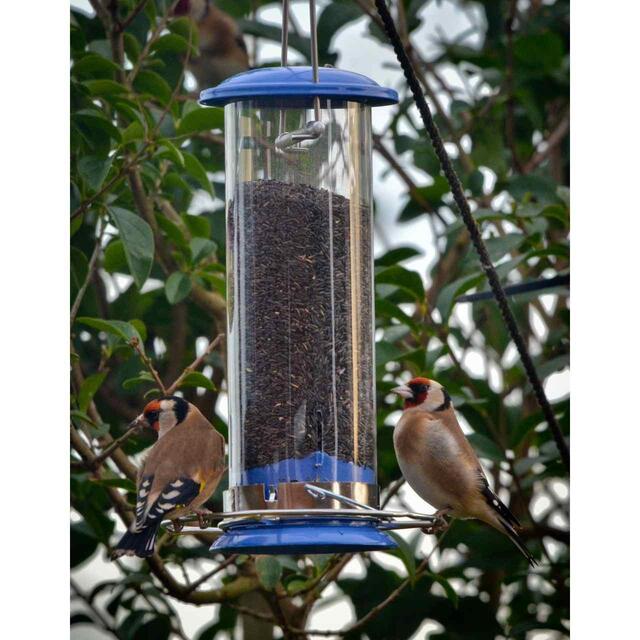 Peckish Nyjer Seed For Wild Birds thumbnail 3