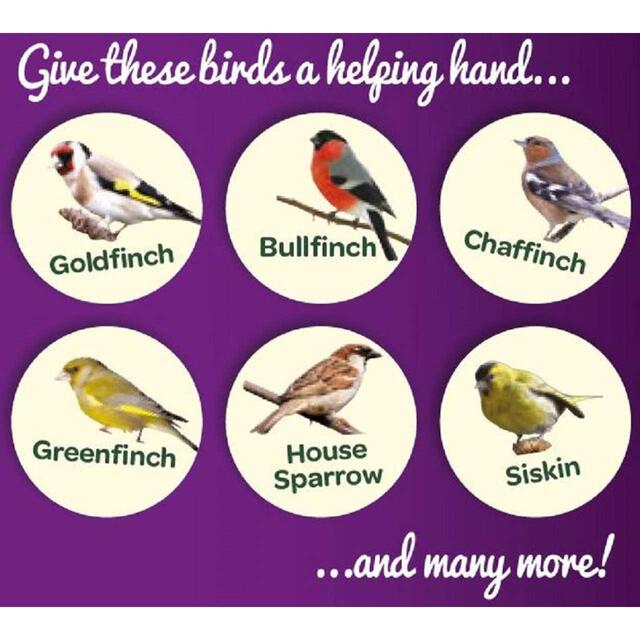 Peckish Nyjer Seed For Wild Birds thumbnail 5