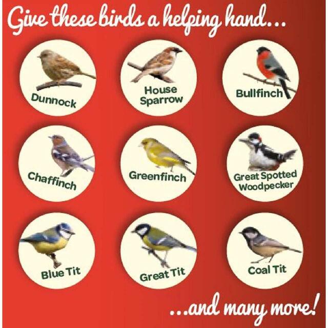 Peckish Peanuts For Wild Birds thumbnail 5