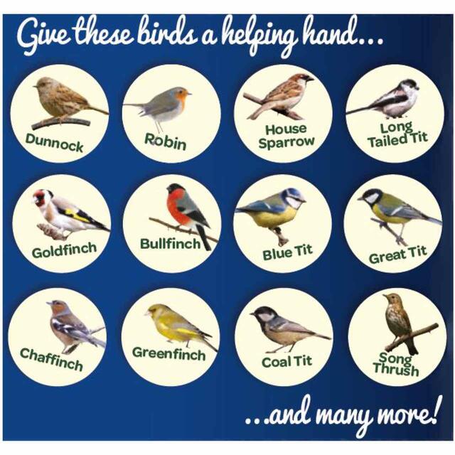 Peckish Mealworms For Wild Birds thumbnail 3