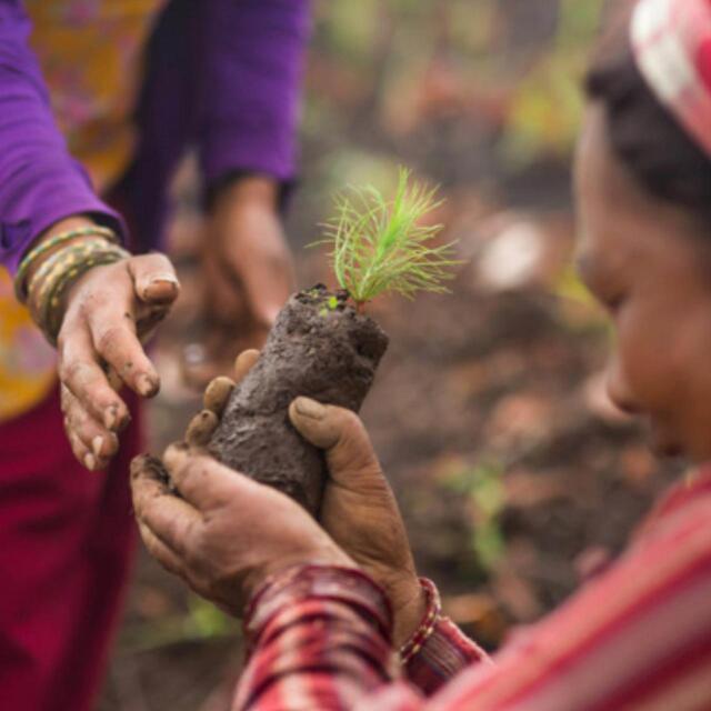 Pukka Organic Relax Tea With Chamomile x20 Home Compostable Herbal Tea Bags thumbnail 4