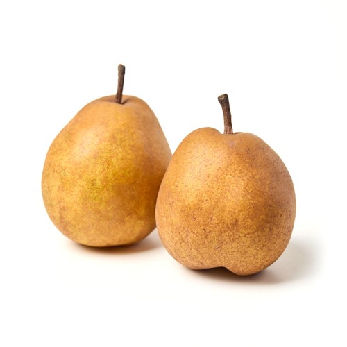 Natoora Passe Crassane Pears