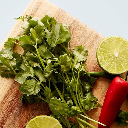 Ocado Coriander thumbnail 3