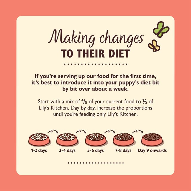 Lily's Kitchen Dog Chicken & Salmon Puppy Recipe Dry Food thumbnail 4