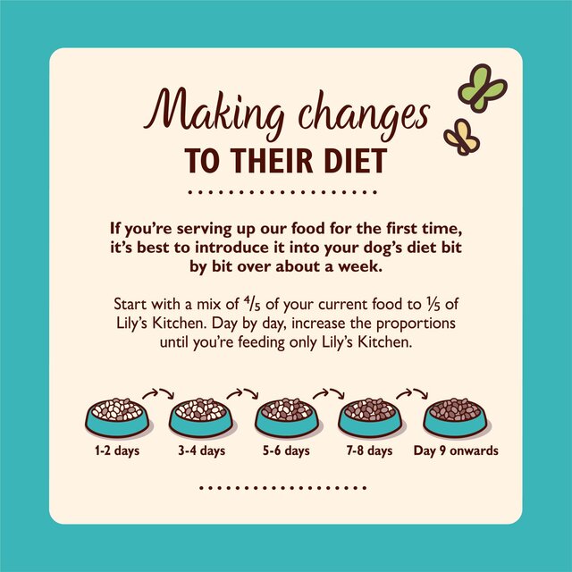 Lily's Kitchen Breakfast Crunch for Dogs thumbnail 6