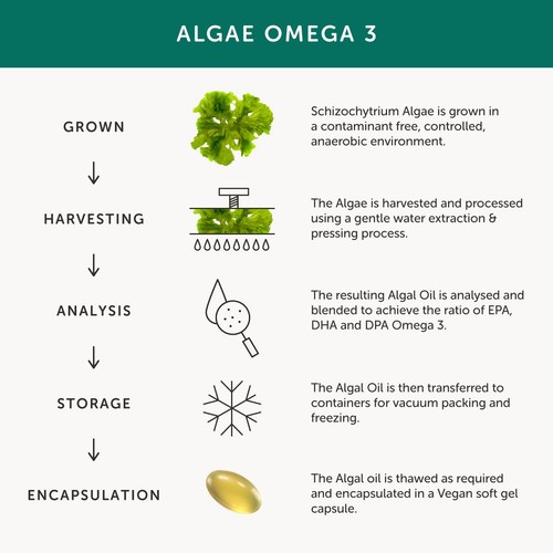 Together Health Omega 3 from Fish-Free Algae thumbnail 6